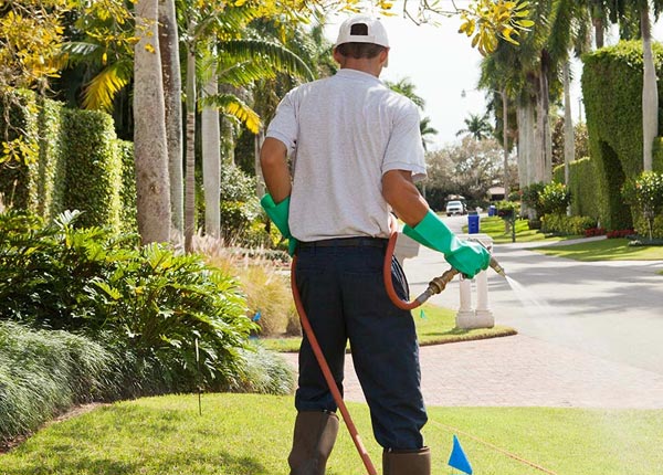 About Kewanna IN Pest Control